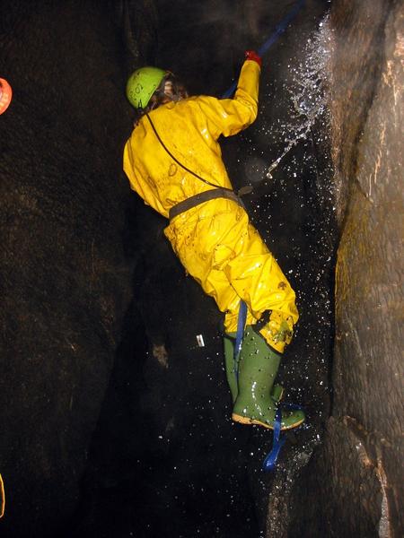 Thumbnail of photo from this article